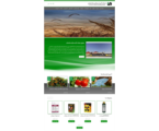 طراحی سایت آتیه سازان ماه نشان